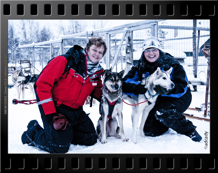 reindeer finland lapland